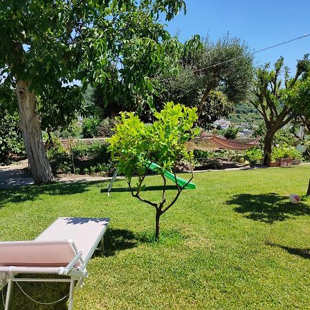 Апартаменты Il Giardino Барано-д'Иския Экстерьер фото